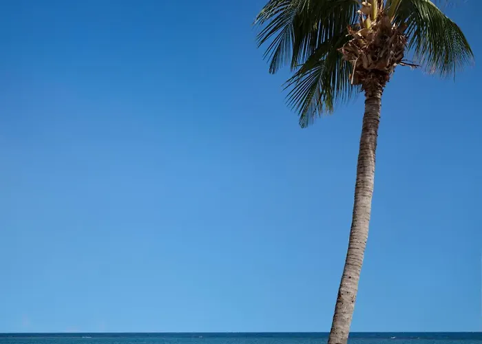 Beaches A & Golf 4*